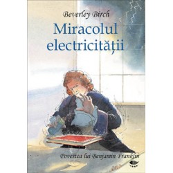 Miracolul electricităţii Miracolul electricităţii